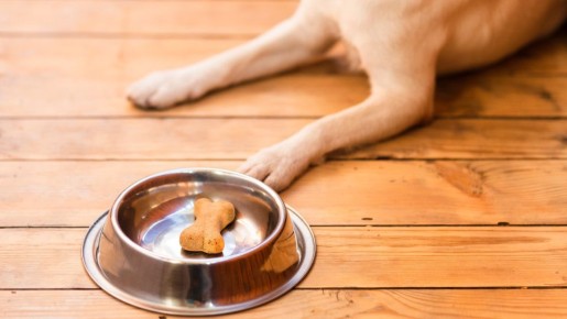 �������� ������� �������� ����� 400 ����� ������ � ���������� ��������� �����