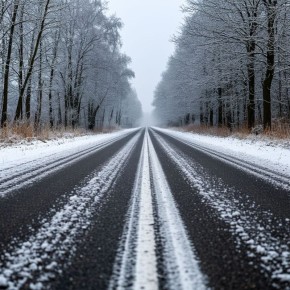 �� ������ ��������� ��������������, 22 ������ �� ���������� �������� ������� �������