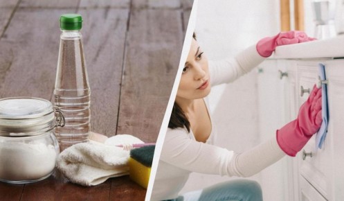 ��� �������� �������� ����� � �������: ��� ������� � ����������� ��������