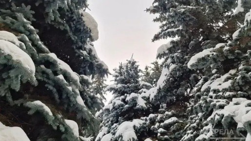 Завтра, 22 января, в Брянской области будет наблюдаться облачная погода