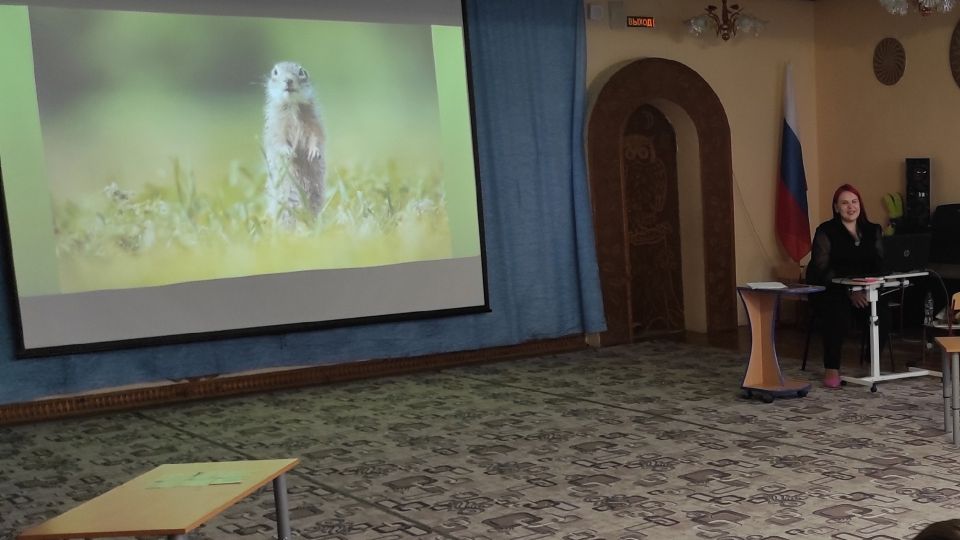 �������� ����������� ��������� ����������� ����������� � ��� ����� �������