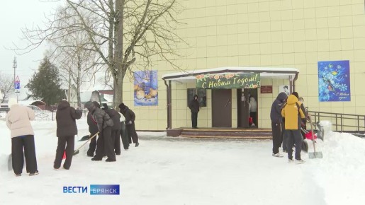 Армия добровольцев вышла на уборку территорий от снега