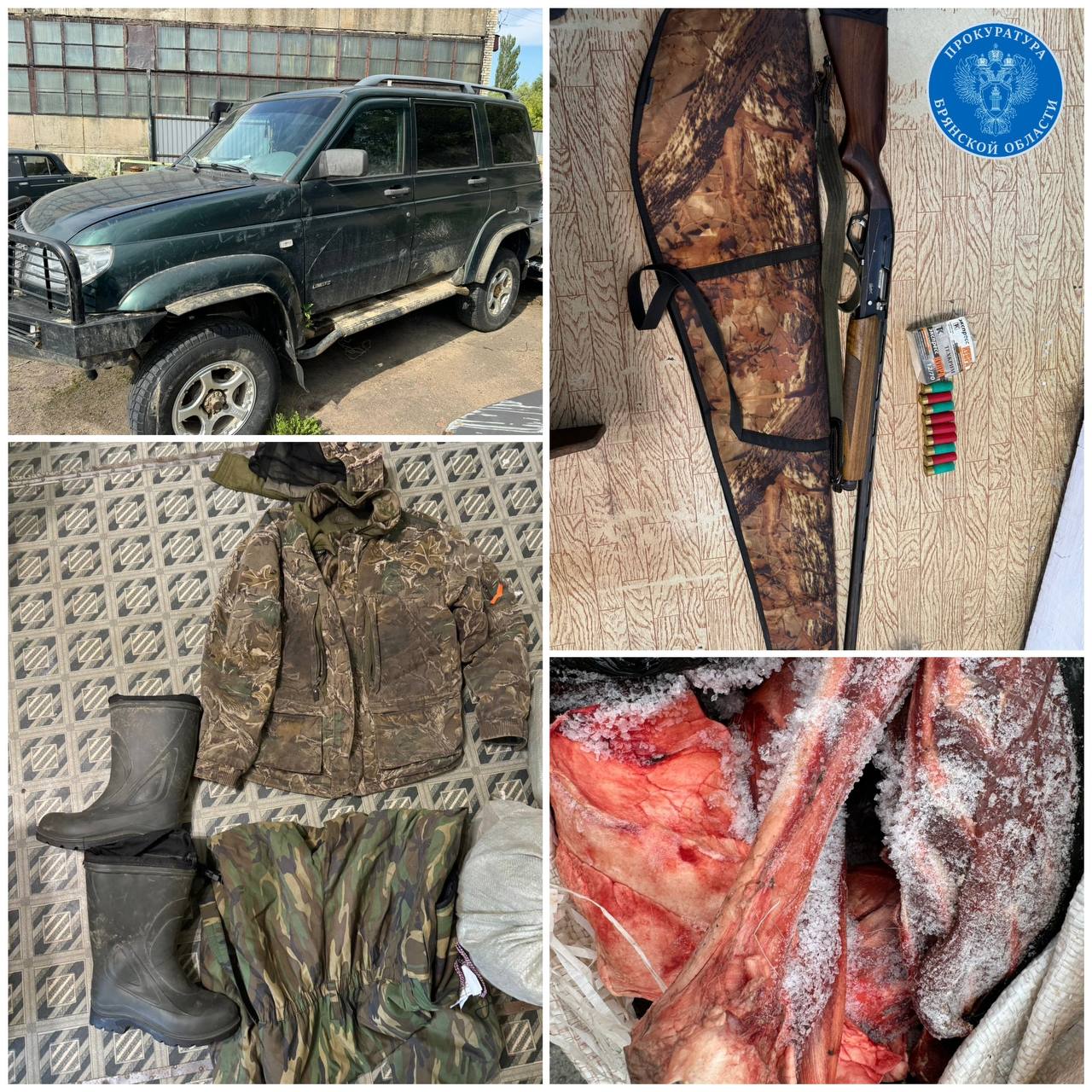 В Злынке вынесен приговор по уголовному делу о незаконной охоте на косуль