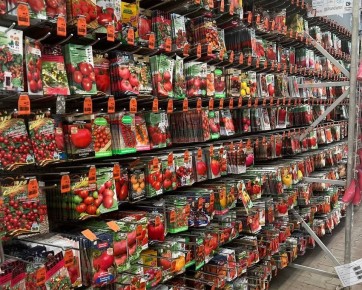 ��� �� ������� � ������ �����