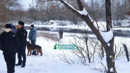 ������ ���������� �� �����: ��� �������� � �������� � ������� � ���� �������