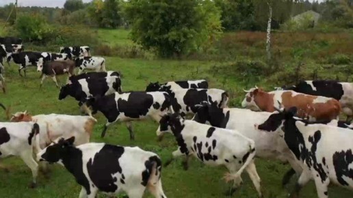 �������� �� �������� ������ ������ ������ ������� � ������