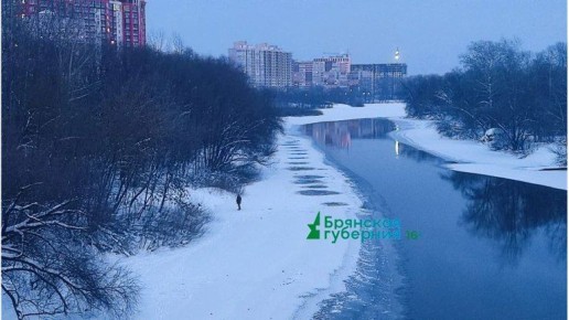 Поиск провалившихся под лёд школьников в Брянске расширили до двух тыс