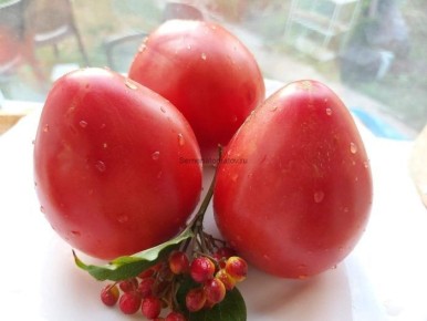 ����� �������� ������� ������: ������� ������ � ������� ������