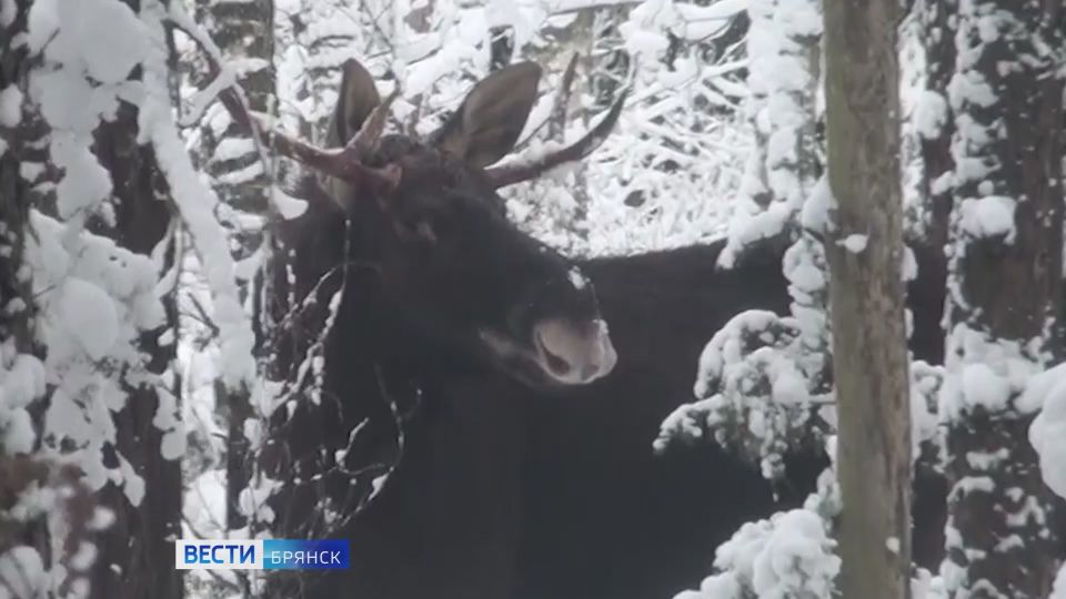 � �������� ������� ������� ������ ���� ������