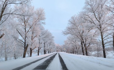 Зима превращает обычный путь в волшебное путешествие, где каждый поворот дарит новый заснеженный пейзаж, а дорога становится тропой между застывшими в безмолвии деревьями, будто охраняющими покой зимнего царства