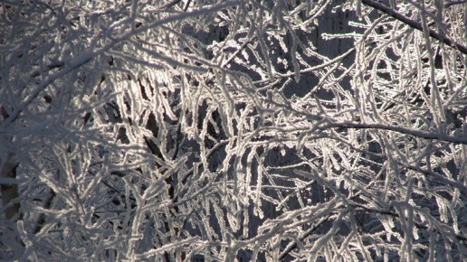 ������ �� 20C ������ � �������� �������