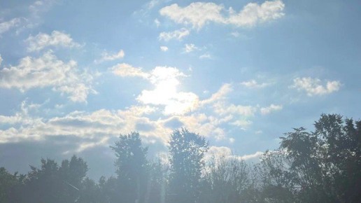 Брянск ждёт январская оттепель уже на следующей неделе