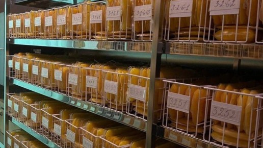 ����� 600 ������� ������� ��������� �������� �������