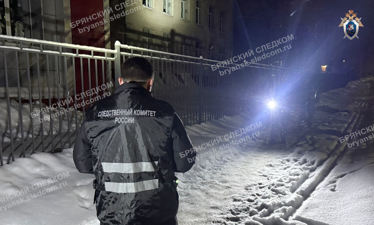 Несовершеннолетний житель города Новозыбкова, обвиняемый в убийстве своего знакомого, заключен под стражу (ч. 1 ст. 105 УК РФ)