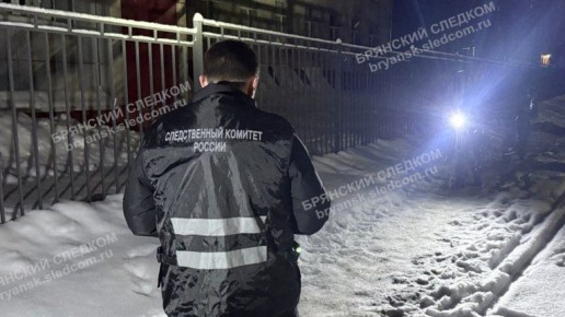 В Новозыбкове подросток зарезал 17-летнего приятеля