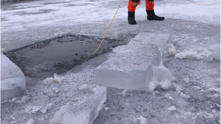 В Брянске обследовали 7 000 кв. м реки в поисках утонувших в Десне школьников