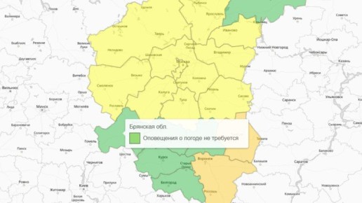 Оранжевый уровень погодной опасности отменили в Брянской области
