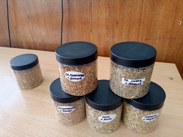 Брянский ГАУ в наступившем новом году проводит цикл учебно-практических занятий с учениками агротехнологических классов Брянский ГАУ в наступившем новом году проводит цикл учебно-практических занятий с учениками агротехнологических классов