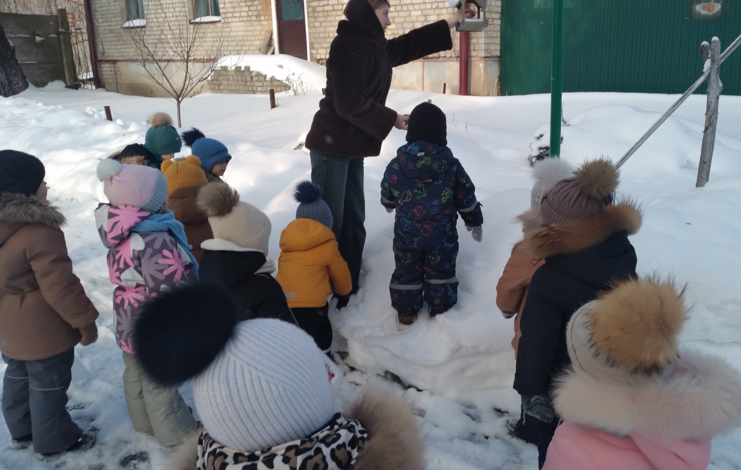 Продолжать знакомство детей с зимующими птицами, их особенностями жизни в зимний период Продолжать знакомство детей с зимующими птицами, их особенностями жизни в зимний период