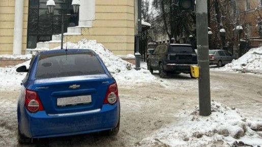 В Брянске наказали автоледи за парковку у светофора по записи в соцсети