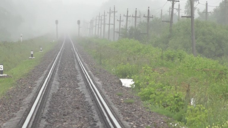 В 2025 году на железной дороге погибли восемь брянцев