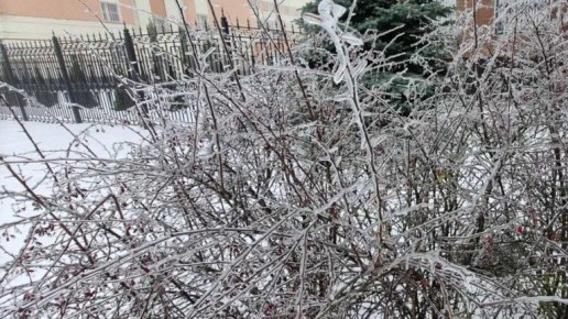 МЧС не бросают попытки найти утонувших в Десне подростков