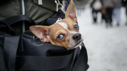 �� �������� 31 ������ ������������ ������ ����� �� 16 �/� ��� -20C