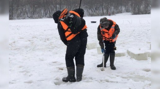 ������ � ��������: 11-� ���� ������� ��������� ����� �� ���������