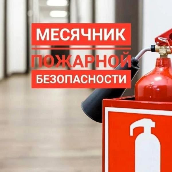 С 16 по 30 января в образовательных организациях в рамках месячника по пожарной безопасности прошла серия занятий в 8-11 классах по ОБЗР по темам: «Пожарная безопасность в природной среде, в быту»