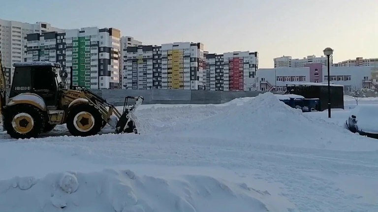 Студенты и молодежь Брянска помогали коммунальщикам расчищать город от снега