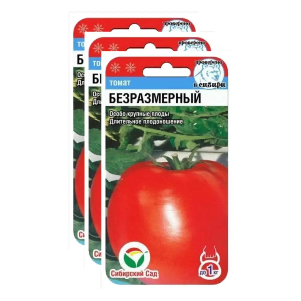 7 сортов томатов для открытого грунта Сибири