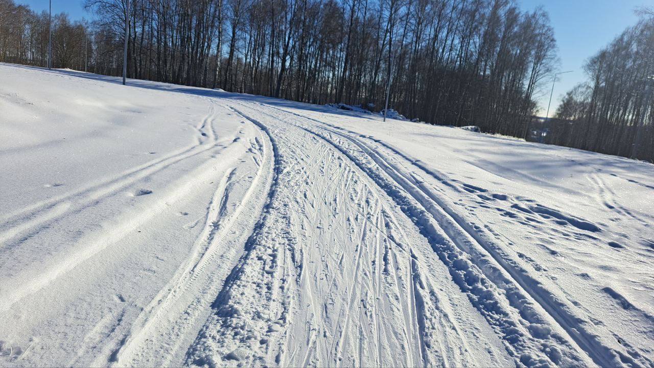 Уважаемые жители!. На фото — последствия заезда автомобиля на лыжную трассу: испорченные тренировочные дорожки Уважаемые жители!. На фото — последствия заезда автомобиля на лыжную трассу: испорченные тренировочные дорожки