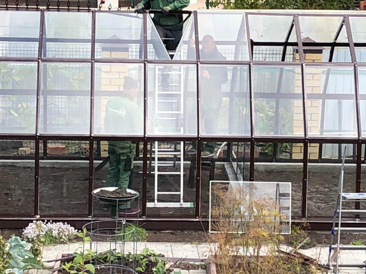 Как выбрать теплицу: стекло против поликарбоната