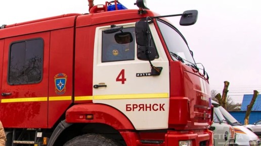 В Брянске огнеборцы ликвидировали пожар, произошедший в надворных постройках