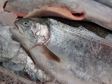 Что делать с пересоленной рыбой: реанимируем сырой и приготовленный продукт