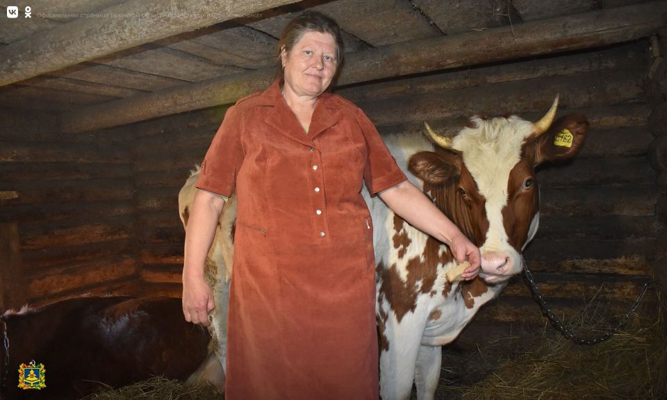 � �������� ���������, ��� ������ ���� ���������� � �������� � ������������� �������, ������ ����� �������� ����, ��� ����������� ���� ������� �� ������ ������, �� � ������ ��� ����������