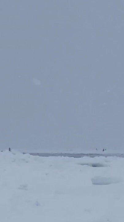 ������ � ����������� ��������� ������� ���������� �� ������ � ������ ���� ������������ � ����������� �������