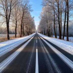 �� ������ ��������� ��������������, 5 ������� �� ���������� �������� ������� ���������� ����������