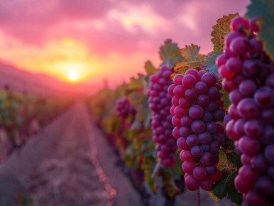 ��� ������� ����������� ������� �������� ���� �� ����