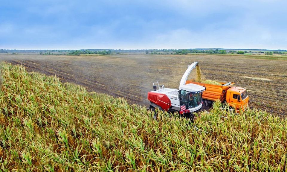 �� ������ 2025 ���� ������������������� � �� ������� �� 4,9% � �������