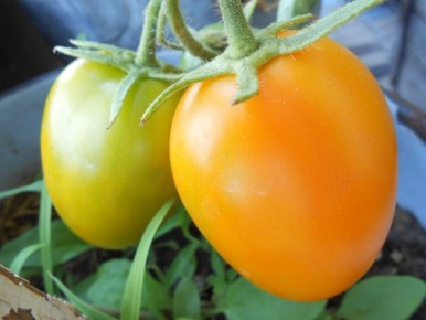 ��� ��� ������ ��� ������ ��������� �� ����� �������