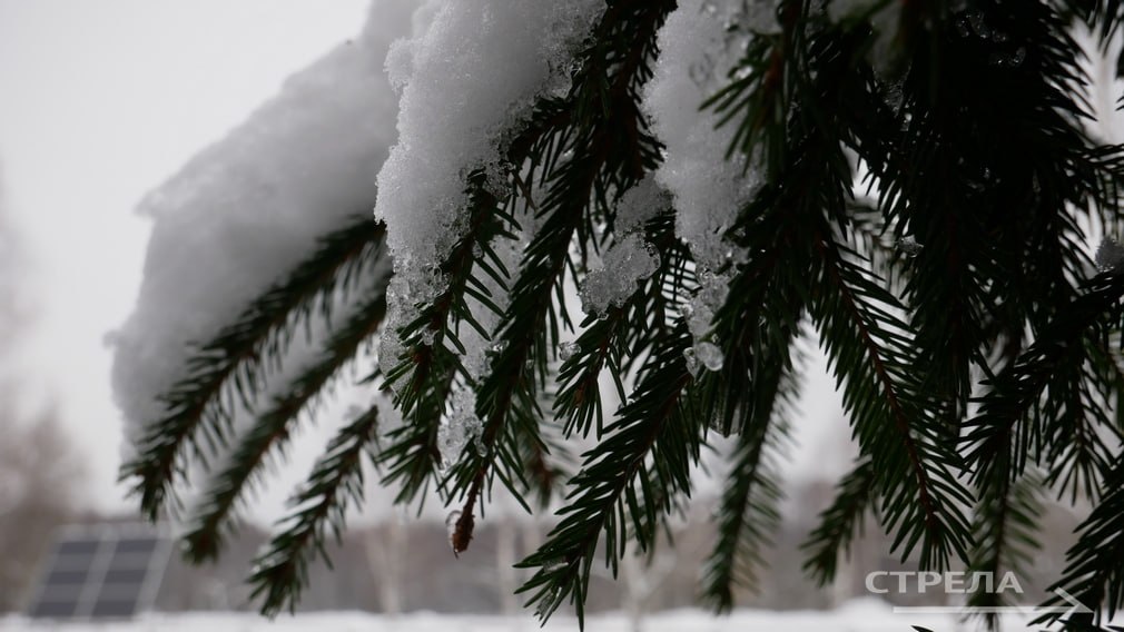 Завтра, 7 февраля, на территории Брянской области будет облачно