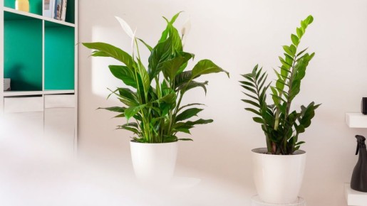 �������� ��� � ��������������, ���� �� ������: � ����� ������ ������� ����� �����