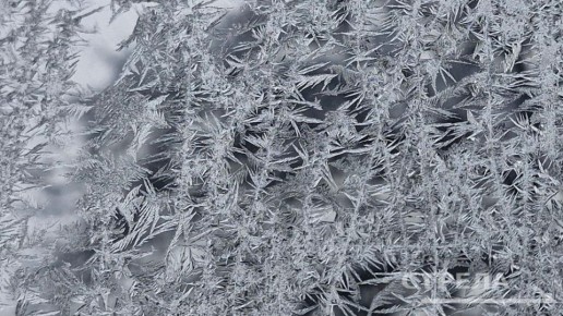 ������� ������������ � �������� � ������ � �����������