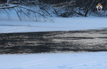 ��������� ������������ ������� �� ������ �� �������� �������