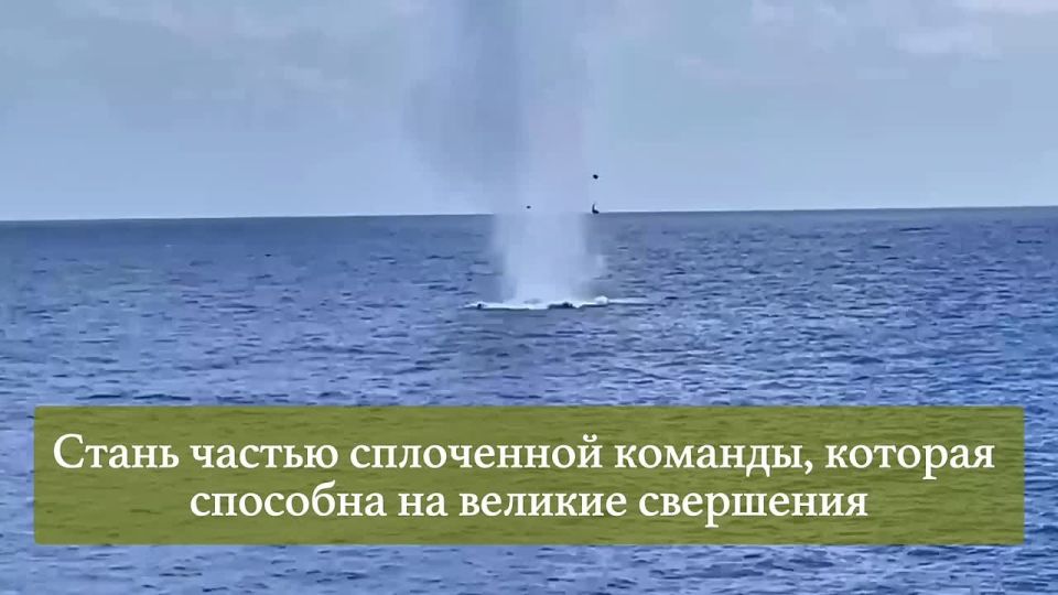 ������������ ������� ���������� ��������� ���������� ������� �������� ������� �� ����������� ������ � ����� ����������� ��� ������