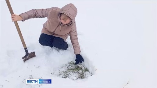 � ������������������� ������� ������ ���������� ��������� ������ �������