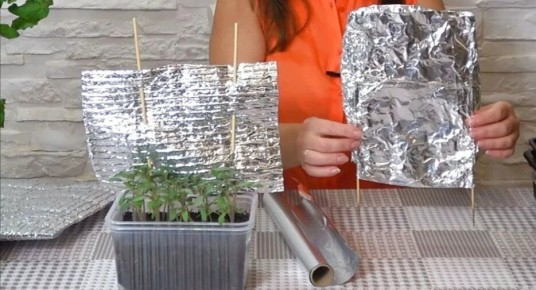 ��� ��������� ��������� �� �������� ����� ���������: ������ � ������������