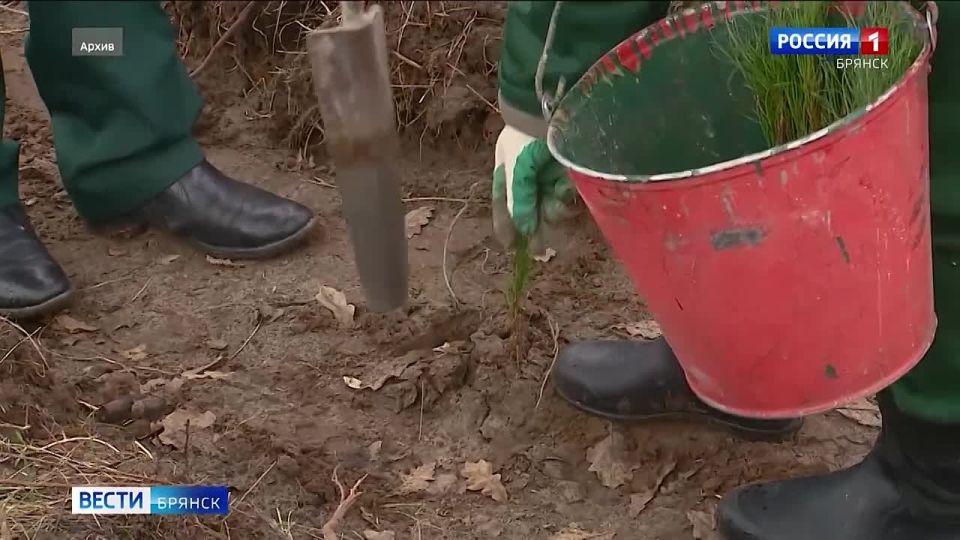 � �������� ������� ������������������ � 2026 ���� �������� �� ������� 4 ���