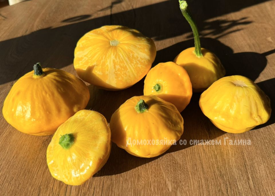 Неповторимый вкус маринованных патиссонов для зимнего стола